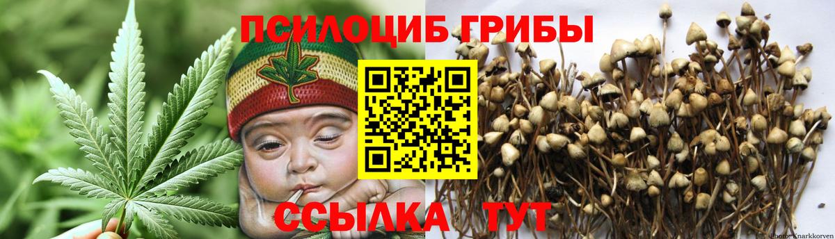 Галлюциногенные грибы мухоморы Тосно