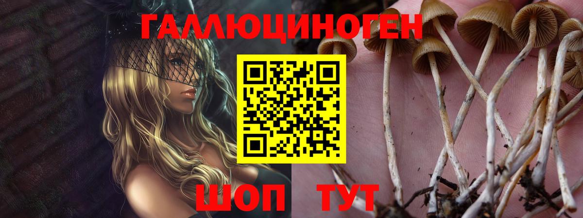 Галлюциногенные грибы ЛСД  Галлюциногенные грибы GOLDEN TEACHER  Вход с VPN  наркотики  Тосно 